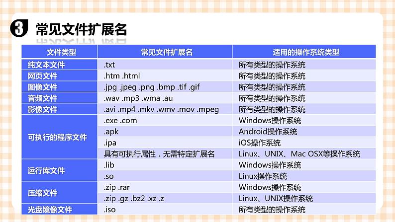 1.5《管理信息资源》 课件05