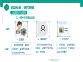 【中职专用】中职高中信息技术  高教版2021 基础模块上册 1.6 维护信息系统（课件）