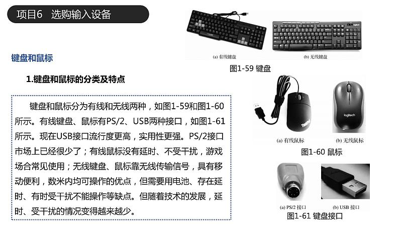 06《项目6 选购输入设备》 ppt课件第1页