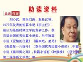 他母親的伙伴PPT課件免費(fèi)下載