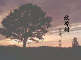 中职语文高教版1.2《爱情诗二首》致橡树 课件+教案+同步练习