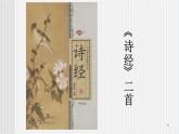 中职语文高教版6.21《诗经二首》 静女 课件+教案