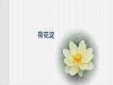中职语文高教版3.11《荷花淀》课件+教案