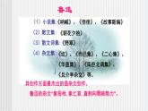中职语文高教版4.15《拿来主义》课件+教案+同步练习