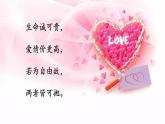 中职语文高教版1.2《爱情诗二首》我愿意是急流 课件+教案