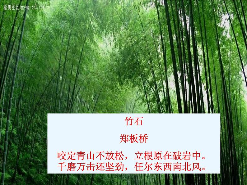 菜园小记PPT课件免费下载03