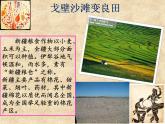 新疆的歌PPT课件