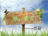 凝PPT課件