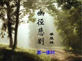 幽径悲剧PPT课件免费下载