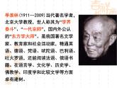 幽径悲剧PPT课件免费下载