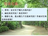 幽径悲剧PPT课件免费下载