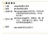 中职人教版基础模块（下）生命的钥匙课件PPT