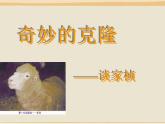 中职语文版基础模块（下）奇妙的克隆ppt课件