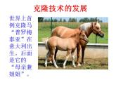 中职语文版基础模块（下）奇妙的克隆ppt课件