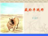 中职人教版基础模块（下）藏羚羊跪拜课件