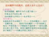 中职人教版基础模块（下）藏羚羊跪拜课件