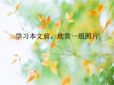 中职语文基础模块下《边城》ppt课件