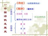 《静女》课件
