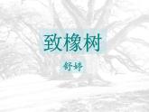 高教版（中职）语文基础模块 上册 《致橡树》课件