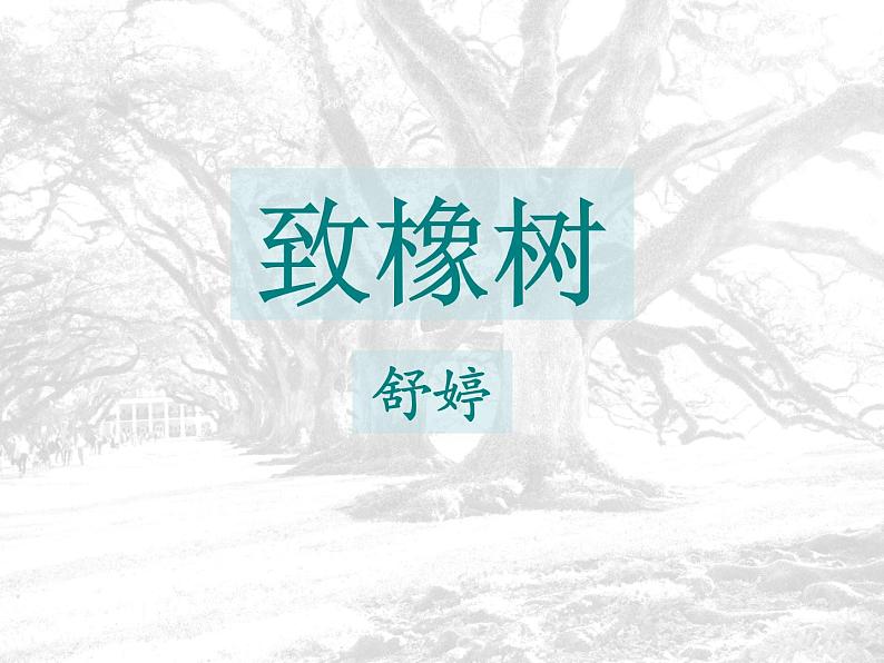 高教版（中职）语文基础模块 上册 《致橡树》课件05