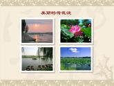 高教版（中职）语文基础模块 上册 《荷花淀》课件