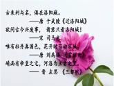 高教版（中职）语文基础模块 下册 《洛阳诗韵》课件