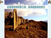 《離太陽(yáng)最近的樹》教學(xué)課件