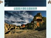 《離太陽(yáng)最近的樹》教學(xué)課件