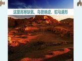 《離太陽(yáng)最近的樹》教學(xué)課件