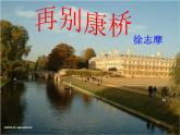 高教版（中职）语文《再别康桥》PPT课件