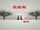 高教版（中职）语文《致橡树》PPT课件
