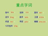 高教版語文《像山那樣思考》PPT課件