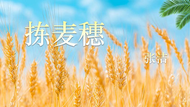 四  《拣麦穗》（课件）-【中职】高一语文同步课件第3页