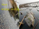 三  《幽径悲剧》（课件）-【中职】高一语文同步课件（语文版·基础模块上册）