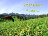 三  《幽径悲剧》（课件）-【中职】高一语文同步课件（语文版·基础模块上册）