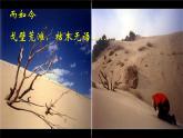 三  《幽径悲剧》（课件）-【中职】高一语文同步课件（语文版·基础模块上册）