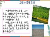 七  《新疆的歌》（课件）-【中职】高一语文同步课件（语文版·基础模块上册）