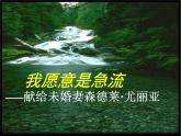 9 《我愿意是急流》课件 2021-2022学年人教版中职语文拓展模块