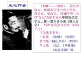 14 《药》课件 2021-2022学年人教版中职语文基础模块(上册)