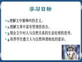 高教版中職高中語文基礎(chǔ)模塊上冊(cè) 第2單元 《像山那樣思考》課件