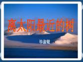 高教版中職高中語文基礎(chǔ)模塊上冊(cè) 第2單元 《離太陽最近的樹》課件