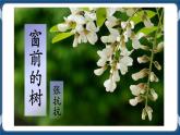 高教版中職高中語文基礎(chǔ)模塊上冊(cè) 第2單元 《窗前的樹》課件