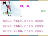 高教版中职高一语文基础模块下册 第1单元 古诗词《桃夭》课件