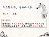 《白马篇》课件