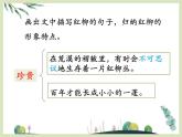 第九課《離太陽(yáng)最近的樹》課件