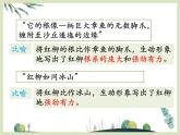第九課《離太陽(yáng)最近的樹》課件