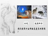《像山那樣思考》課件