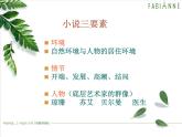语文《最后的常春藤叶》PPT课件