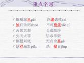 语文《宽容序言》PPT课件