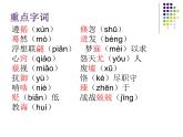 语文《青年在选择职业时的考虑》PPT课件